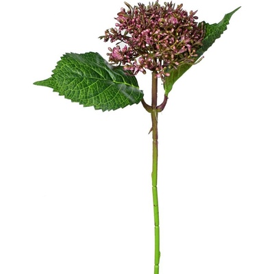 KS HORTENZIA RUŽOVÁ 39CM