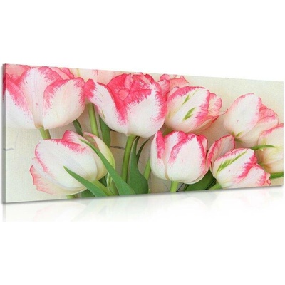 Obraz tulipány v jarním nádechu - 120x60
