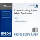 Epson C13S042118