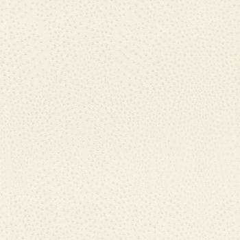 RASCH Влизолинов тапет за стена rasch african queen 751536