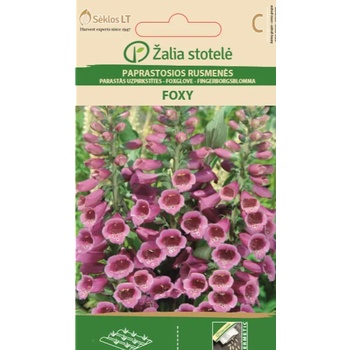 Image 1 of Seklos Напръсник Лилав Foxy Digitalis purpurea