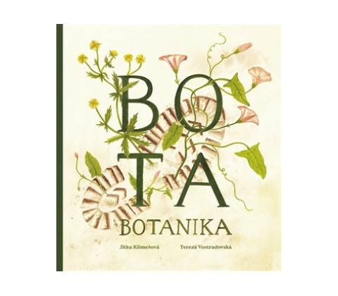 Bota botanika