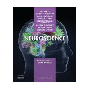 Neuroscience | Dale Purves, George J. Augustine, David Fitzpatrick, William C. Hall, Anthony-Samuel LaMantia (ISBN: 9781605358413)