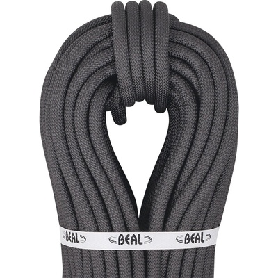 BEAL Raider 10,5mm 200m