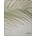 Biederlack Deka Joop Leaf 150x200