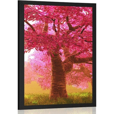 Plakát rozkvetlé stromy třešně - 40x60 black