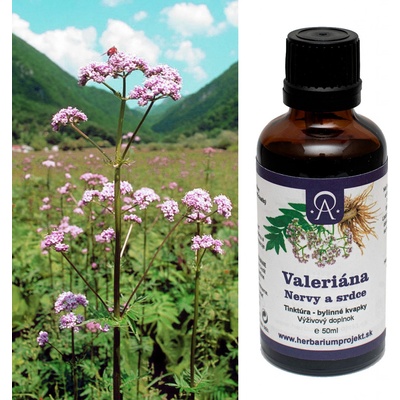 Herbarium Projekt Valeriána nervy a srdce tinktúra 50 ml