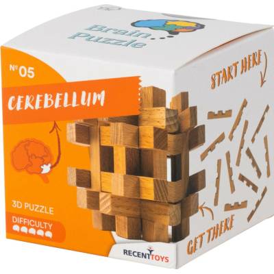 RecentToys Brain Puzzle 5 Mozeček