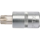 bit Torx T60 Nástavec 1/2"