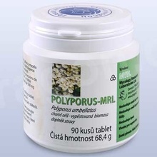 Mrl Polyporus choroš oříš 90 tablet