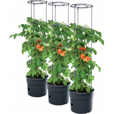 Prosperplast Květináč plast černý 29,5 cm x 29,5 x 115,2 cm