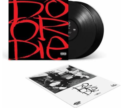 Do Or Die - Picture This LP