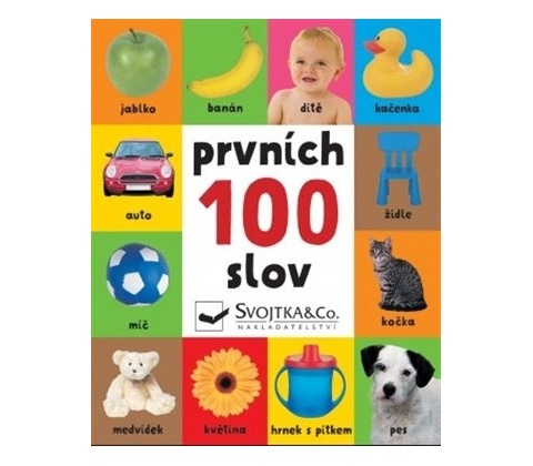 Prvních 100 slov