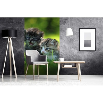 Dimex MS-2-0222 vliesová fototapeta na zeď Mačiatka rozmery 150 x 250 cm