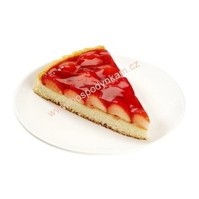 Želatina prášková 100g