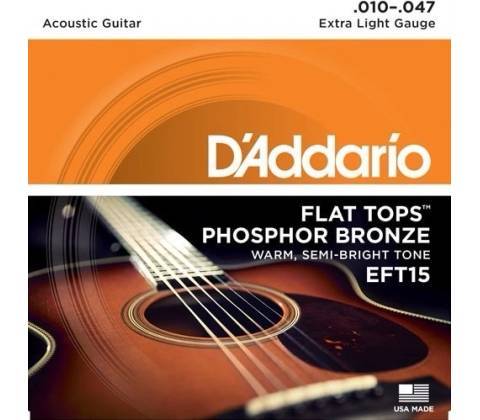 DAddario EFT15