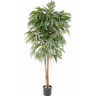 Luxusní umělý strom FICUS LONGIFOLIA, 180cm