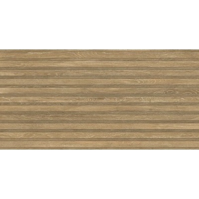 EBS Viggo dekor 60 x 120 cm rlv fresno matný 1,44m²
