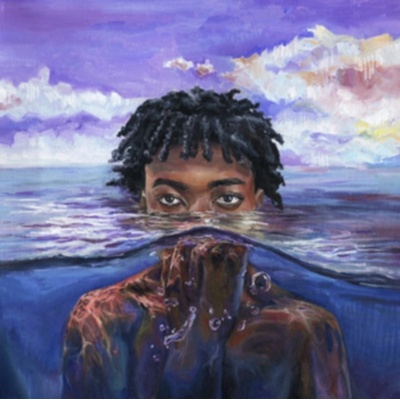 Learn 2 Swim - Redveil LP