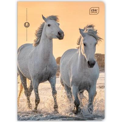 Interdruk Zošit A5 mriežkovaný Wild Horses kone