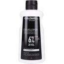 Goldwell System Developer 20 Vol. 6% 1000 ml