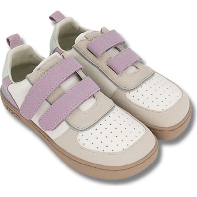 Muris Petra Junior Malva