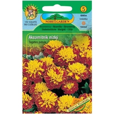 Nohel Garden Aksamitník rozkladitý plnokvetý, hnedo-žltý