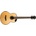 Flight Pathfinder Baritone
