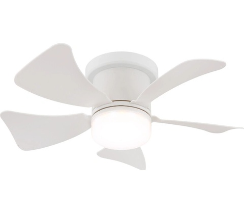 Globo 03609W