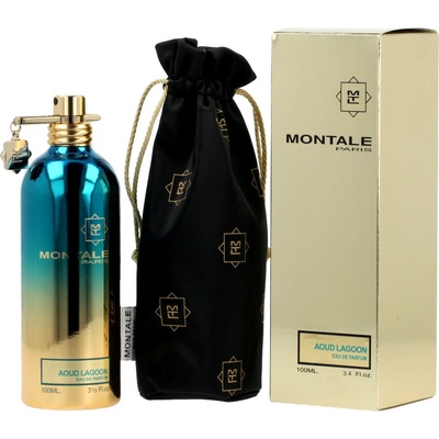 Montale Paris Aoud Lagoon parfumovaná voda unisex 100 ml