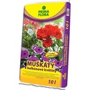 Primaflora Substrat na muskaty 10 l