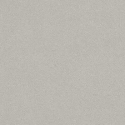 RASCH Влизолинов тапет за стена unsere besten 479409