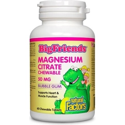 Natural Factors Magnesium Citrate Big Friends - Магнезий (цитрат) за деца 50 mg, 60 дъвчащи таблетки с вкус на дъвка Natural Factors (1648 NF)