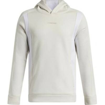 Under Armour Fleece Winterized Hoodie bílá