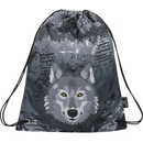 Bagmaster Mercury 9 C Gray/blue/yellow