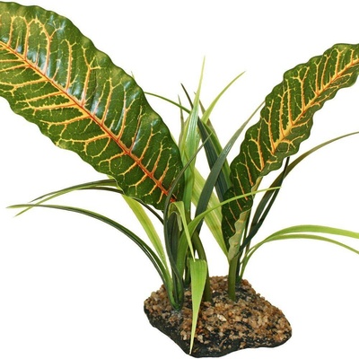 Komodo Tropical Canopy list 31 cm