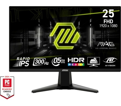 MSI MAG 255XF