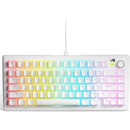 Glorious PC Gaming Race GMMK 3 75 White Fox Linear Switc (GL-KEY-GATA-2729)