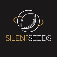 Silent Seeds Critical Mango semena neobsahují THC 3 ks