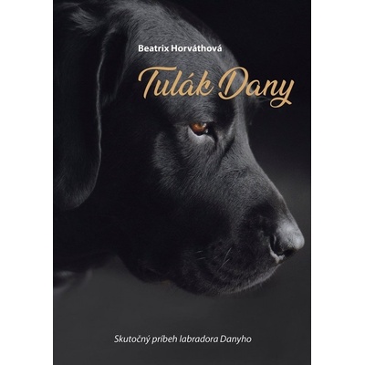 Tulák Dany