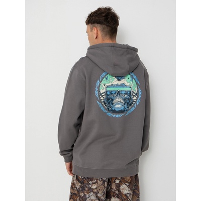 Santa Cruz Wooten Cyber flint