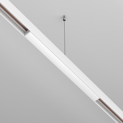 MAYTONI TRX034DR4-200W-1