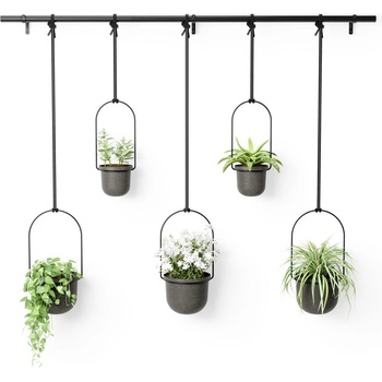 Umbra Пластмасови покрития за кашпи в комплект 5 бр. за билки/висящи и стенни ø 7, 5 cm Triflora - Umbra (1018086-040)