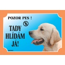 Dafiko Tabulka Zlatý retriever