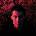 Atmosphere - Mi Vida Local (2 LP + 7" Single) (0826257028013)