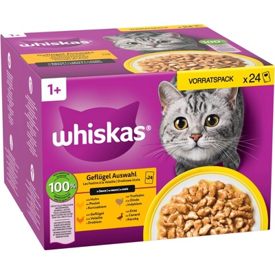 Whiskas 1+ Adult 96 x hydinový výber v želé 85 g