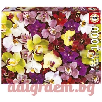Image 1 of Educa Пъзел educa 19558 - 1000 части - Орхидеи (edu19558)