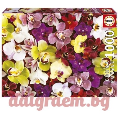 Educa Пъзел educa 19558 - 1000 части - Орхидеи (edu19558)