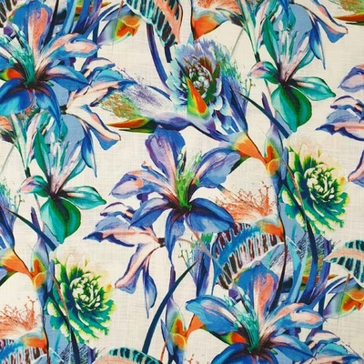 Šatovka biela, zeleno-modré kvety, š.145