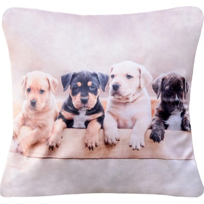 Xpose psíci digitální tisk 40 x 40 cm